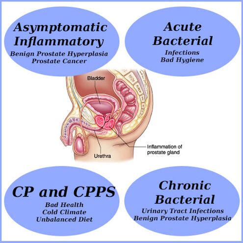 The cause of prostatitis